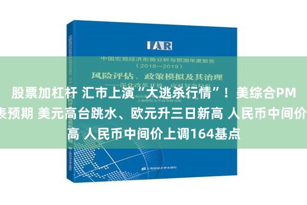股票加杠杆 汇市上演“大逃杀行情”！美综合PMI放缓削弱缩表预期 美元高台跳水、欧元升三日新高 人民币中间价上调164基点