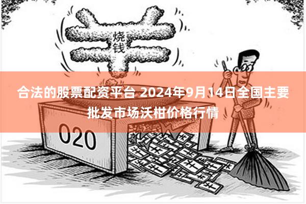合法的股票配资平台 2024年9月14日全国主要批发市场沃柑价格行情