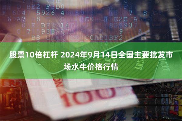 股票10倍杠杆 2024年9月14日全国主要批发市场水牛价格行情