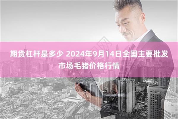 期货杠杆是多少 2024年9月14日全国主要批发市场毛猪价格行情