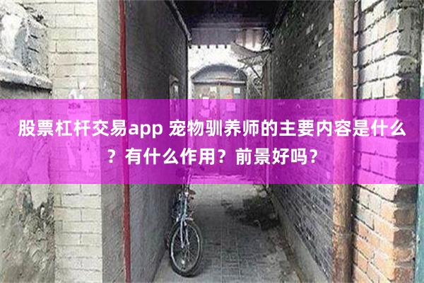 股票杠杆交易app 宠物驯养师的主要内容是什么？有什么作用？前景好吗？