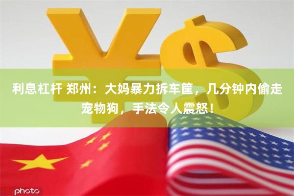 利息杠杆 郑州：大妈暴力拆车筐，几分钟内偷走宠物狗，手法令人震怒！