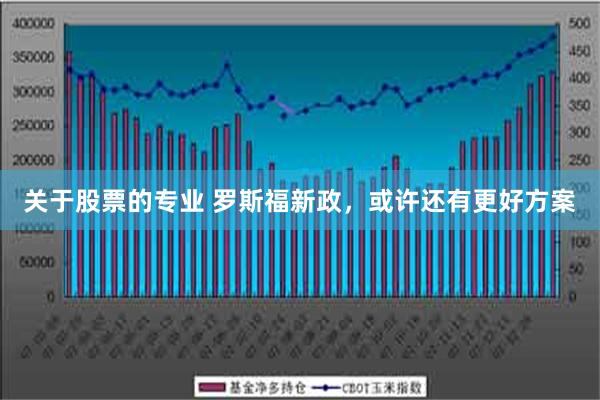 关于股票的专业 罗斯福新政，或许还有更好方案