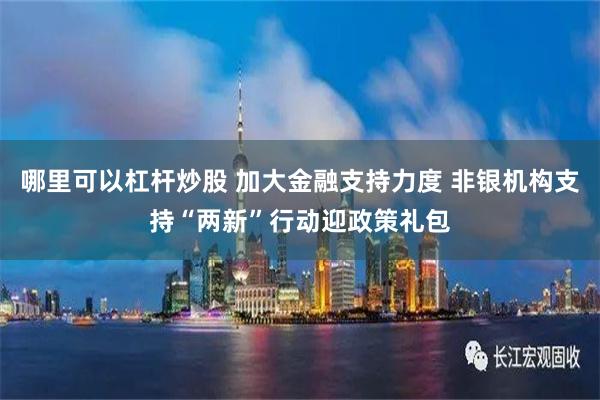 哪里可以杠杆炒股 加大金融支持力度 非银机构支持“两新”行动迎政策礼包