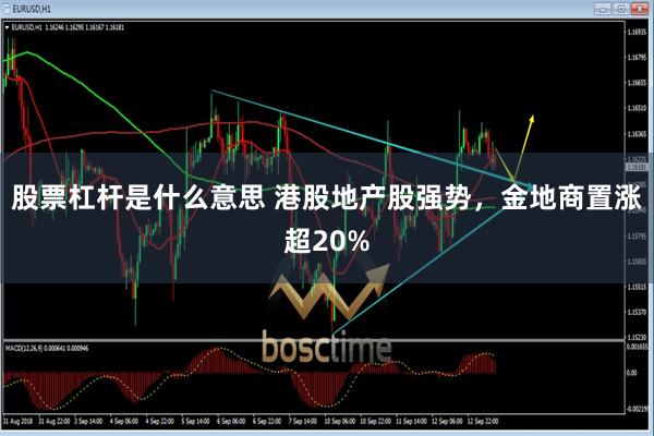 股票杠杆是什么意思 港股地产股强势，金地商置涨超20%