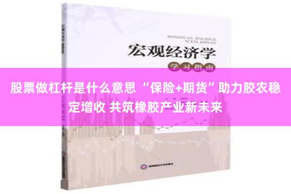 股票做杠杆是什么意思 “保险+期货”助力胶农稳定增收 共筑橡胶产业新未来