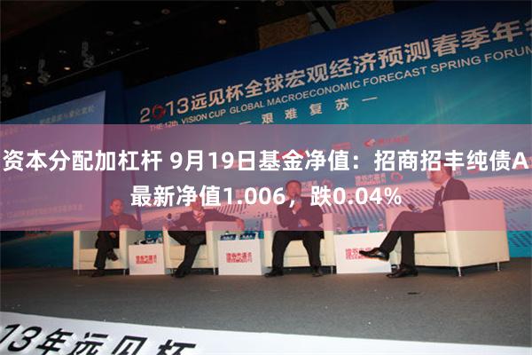 资本分配加杠杆 9月19日基金净值：招商招丰纯债A最新净值1.006，跌0.04%