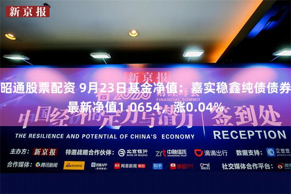 昭通股票配资 9月23日基金净值：嘉实稳鑫纯债债券最新净值1.0654，涨0.04%