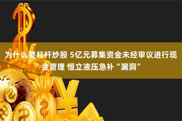 为什么要杠杆炒股 5亿元募集资金未经审议进行现金管理 恒立液压急补“漏洞”