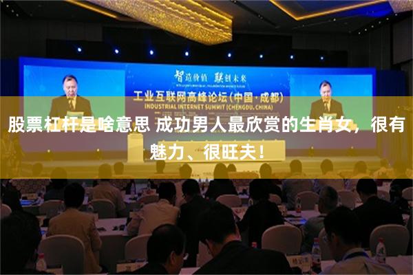 股票杠杆是啥意思 成功男人最欣赏的生肖女，很有魅力、很旺夫！