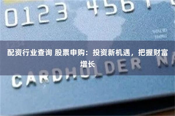 配资行业查询 股票申购：投资新机遇，把握财富增长