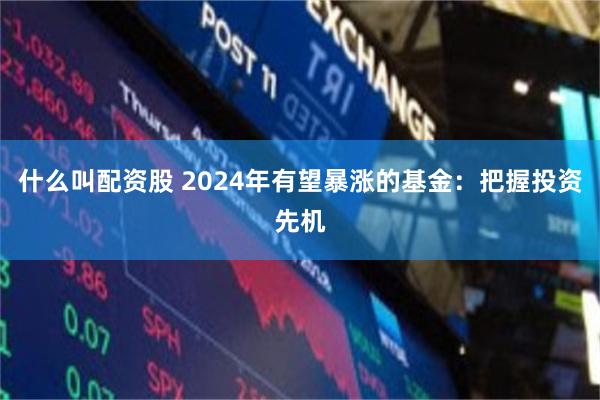 什么叫配资股 2024年有望暴涨的基金：把握投资先机