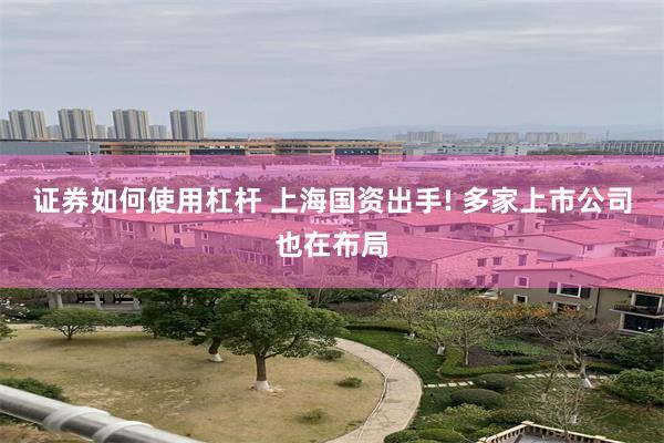 证券如何使用杠杆 上海国资出手! 多家上市公司也在布局