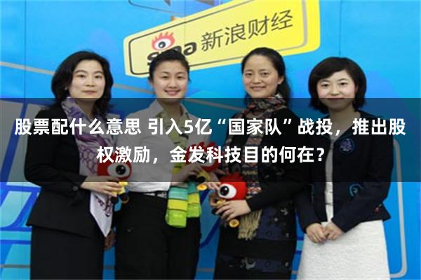 股票配什么意思 引入5亿“国家队”战投，推出股权激励，金发科技目的何在？