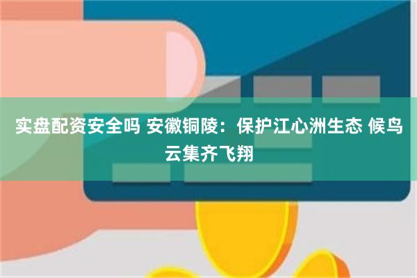 实盘配资安全吗 安徽铜陵：保护江心洲生态 候鸟云集齐飞翔