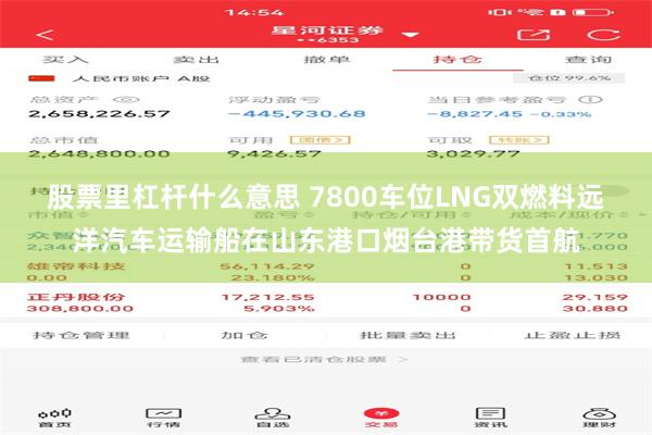 股票里杠杆什么意思 7800车位LNG双燃料远洋汽车运输船在山东港口烟台港带货首航