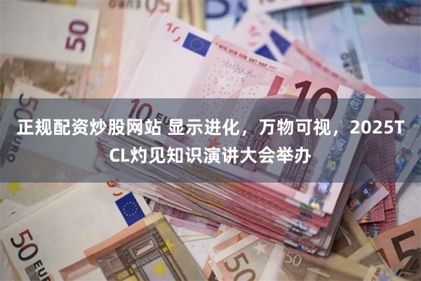 正规配资炒股网站 显示进化，万物可视，2025TCL灼见知识演讲大会举办