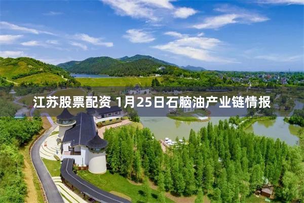 江苏股票配资 1月25日石脑油产业链情报