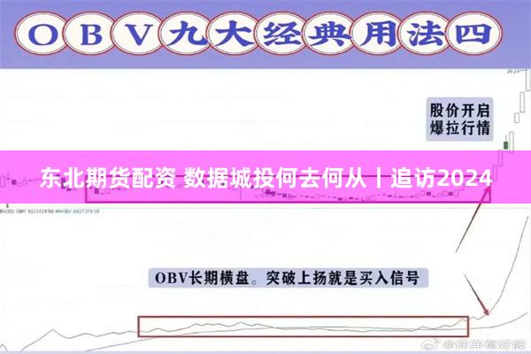 东北期货配资 数据城投何去何从丨追访2024