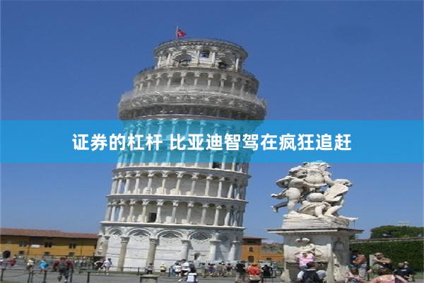 证券的杠杆 比亚迪智驾在疯狂追赶