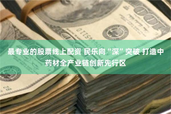 最专业的股票线上配资 民乐向“深”突破 打造中药材全产业链创新先行区