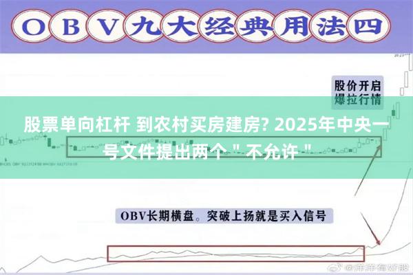 股票单向杠杆 到农村买房建房? 2025年中央一号文件提出两个＂不允许＂