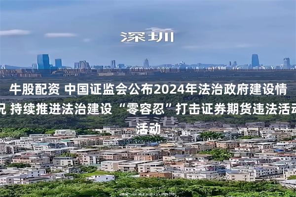 牛股配资 中国证监会公布2024年法治政府建设情况 持续推进法治建设 “零容忍”打击证券期货违法活动