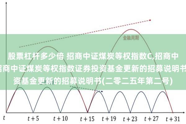 股票杠杆多少倍 招商中证煤炭等权指数C,招商中证煤炭等权指数E: 招商中证煤炭等权指数证券投资基金更新的招募说明书(二零二五年第二号)