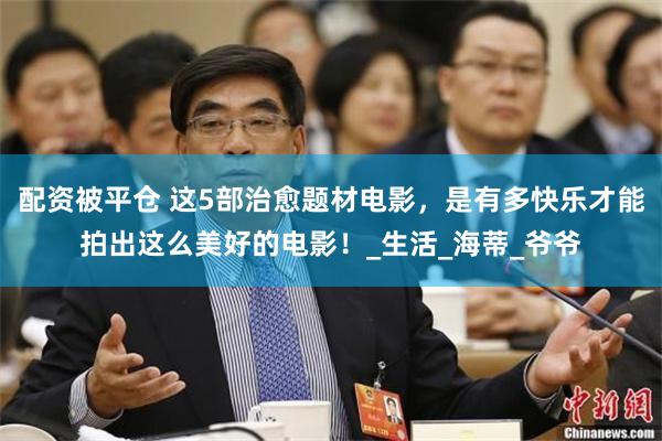 配资被平仓 这5部治愈题材电影，是有多快乐才能拍出这么美好的电影！_生活_海蒂_爷爷