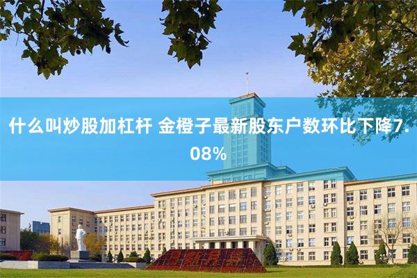 什么叫炒股加杠杆 金橙子最新股东户数环比下降7.08%