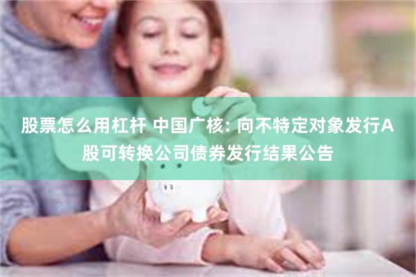 股票怎么用杠杆 中国广核: 向不特定对象发行A股可转换公司债券发行结果公告