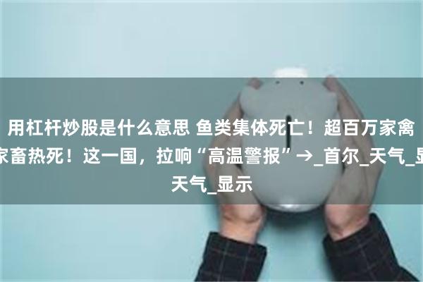 用杠杆炒股是什么意思 鱼类集体死亡！超百万家禽、家畜热死！这一国，拉响“高温警报”→_首尔_天气_显示