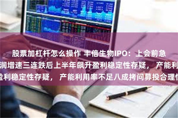 股票加杠杆怎么操作 丰倍生物IPO：上会前急删补流计划，扣非净利润增速三连跌后上半年飙升盈利稳定性存疑， 产能利用率不足八成拷问募投合理性