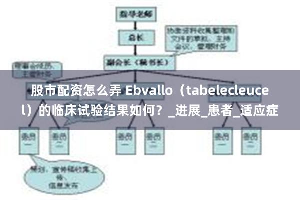 股市配资怎么弄 Ebvallo（tabelecleucel）的临床试验结果如何？_进展_患者_适应症