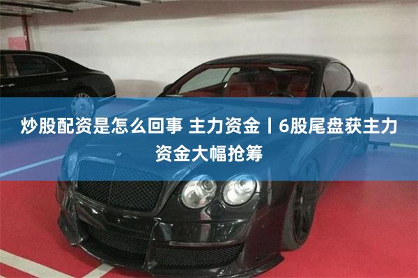 炒股配资是怎么回事 主力资金丨6股尾盘获主力资金大幅抢筹