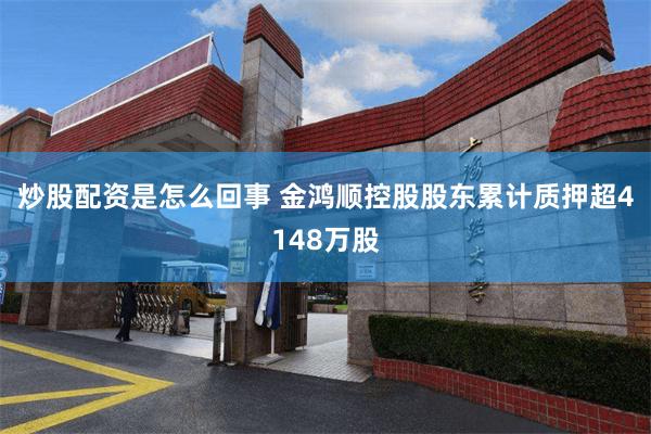 炒股配资是怎么回事 金鸿顺控股股东累计质押超4148万股
