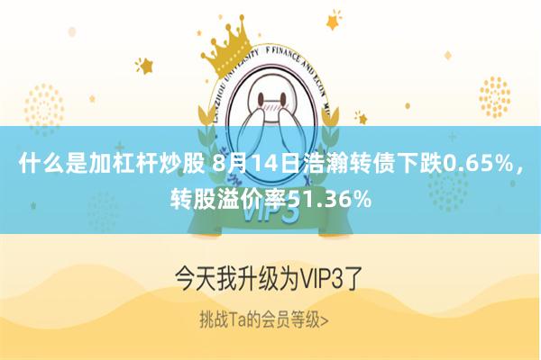 什么是加杠杆炒股 8月14日浩瀚转债下跌0.65%，转股溢价率51.36%