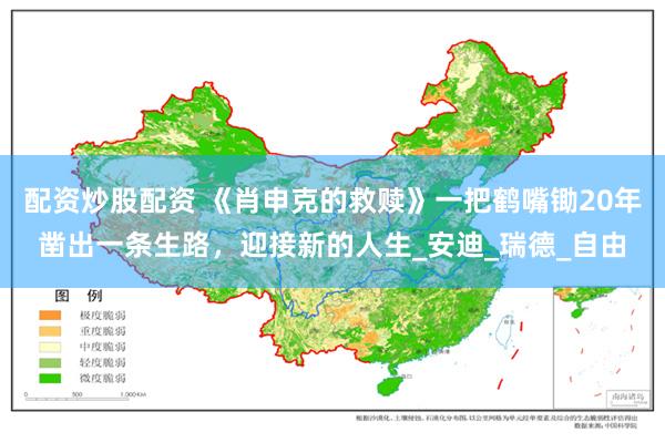 配资炒股配资 《肖申克的救赎》一把鹤嘴锄20年凿出一条生路，迎接新的人生_安迪_瑞德_自由