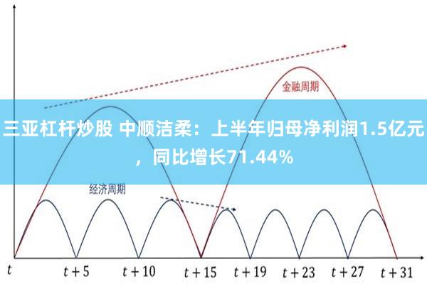 三亚杠杆炒股 中顺洁柔：上半年归母净利润1.5亿元，同比增长71.44%