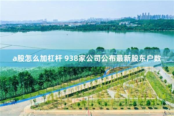 a股怎么加杠杆 938家公司公布最新股东户数