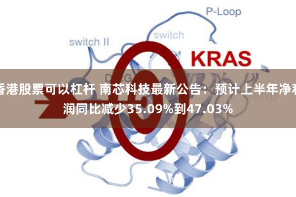 香港股票可以杠杆 南芯科技最新公告：预计上半年净利润同比减少35.09%到47.03%
