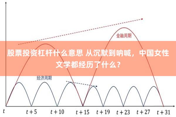 股票投资杠杆什么意思 从沉默到呐喊，中国女性文学都经历了什么？