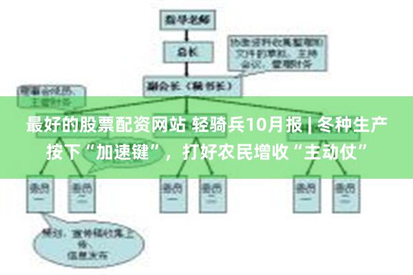 最好的股票配资网站 轻骑兵10月报 | 冬种生产按下“加速键”，打好农民增收“主动仗”