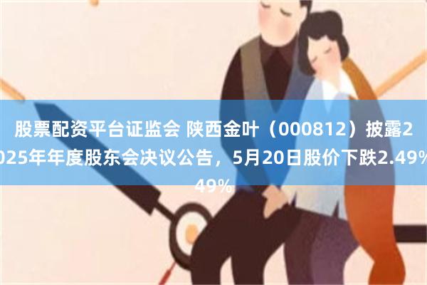 股票配资平台证监会 陕西金叶（000812）披露2025年年度股东会决议公告，5月20日股价下跌2.49%