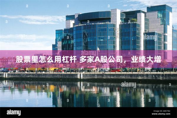 股票里怎么用杠杆 多家A股公司，业绩大增