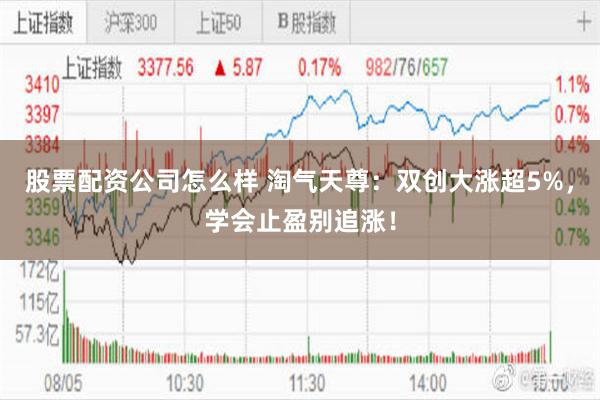 股票配资公司怎么样 淘气天尊:双创大涨超5%,学会止盈别追涨!