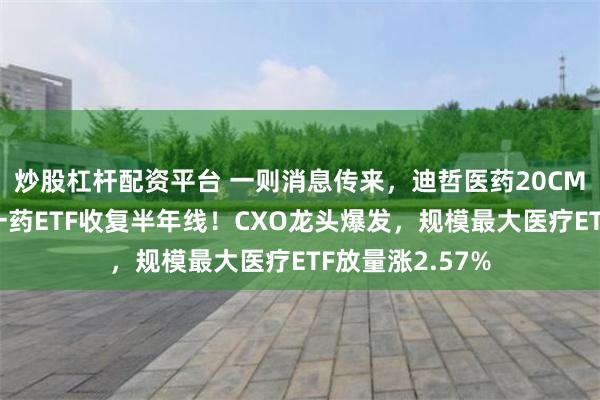 炒股杠杆配资平台 一则消息传来,迪哲医药20CM涨停,场内唯一药ETF收复半年线!CXO龙头爆发,规模最大医疗ETF放量涨2.57%