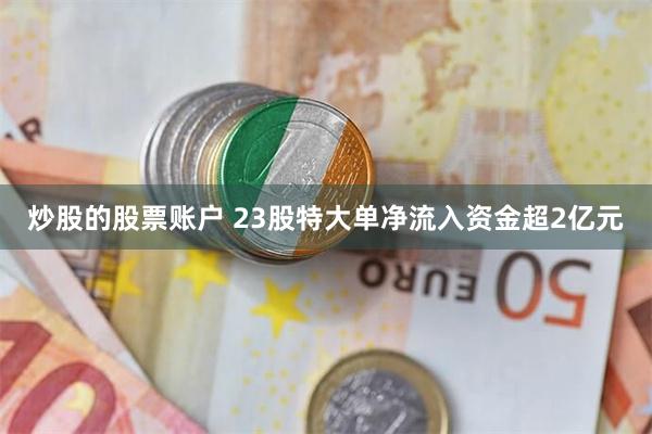 炒股的股票账户 23股特大单净流入资金超2亿元