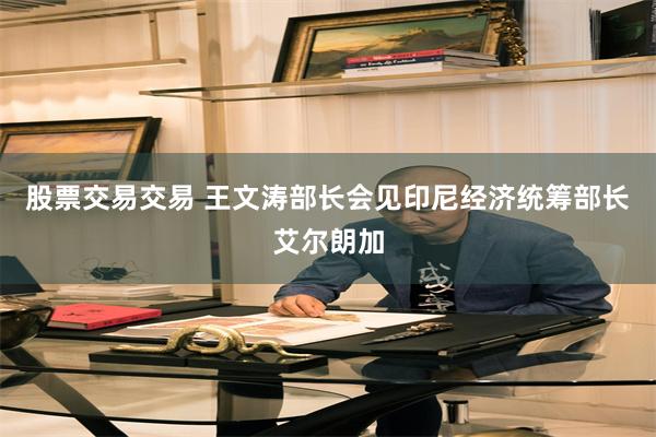 股票交易交易 王文涛部长会见印尼经济统筹部长艾尔朗加