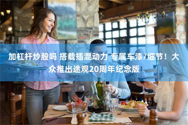 加杠杆炒股吗 搭载插混动力 专属车漆/细节!大众推出途观20周年纪念版